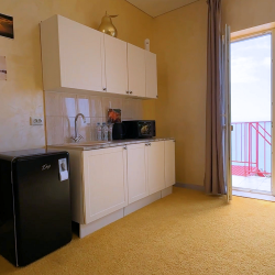 1-комнатные апартаменты студия с террасой