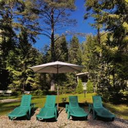 Фото Отель Сосновый бор