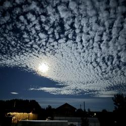 Фото Отель Снетковское Озеро