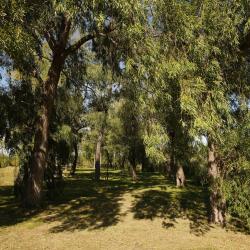 Фото Отель Санаторий Евромед