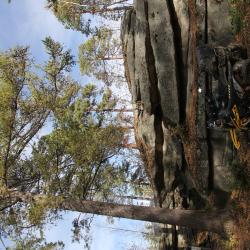 Фото Отель Загородный комплекс Аракуль