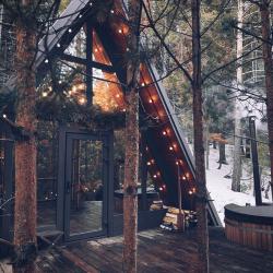 Фото Отель Хвойная хижина