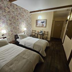 Фото Отель Шишкино-парк аэропорт Домодедово