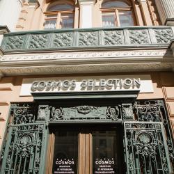 фото 23 Cosmos Selection St. Petersburg Italyanskaya Hotel (Космос Селекшн Итальянская)