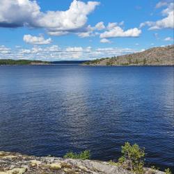 Фото Отель Гостевой комплекс Сосны
