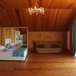 1-комнатные апартаменты люкс (мансарда)