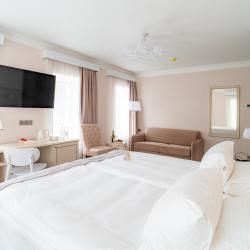 Номер полулюкс, корпус Домъ купчихи Телушкиной