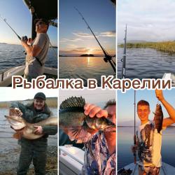 Фото Отель Гостевой комплекс Сосны