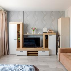 Апартаменты улучшенные Агапкина 21а