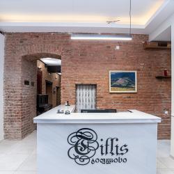 Фото Отель Tiflis (Тифлис)