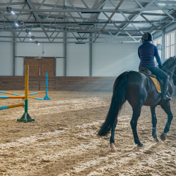 Фото Парк-Отель Басовское
