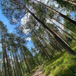 Фото Отель Средиземье