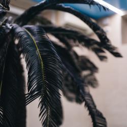 Фото Gemst Hotel&Spa (Гемст Отель и Спа)