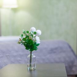 Фото Отель RentPlaza (РентПлаза) на улице Галактионовская