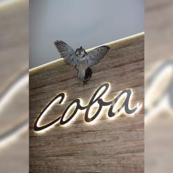 Фото Отель Sova (Сова)