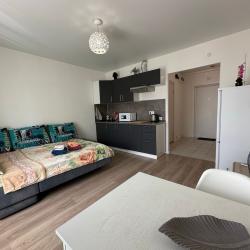 1-комнатные апартаменты студия