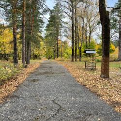 Фото Отель Сосновый бор