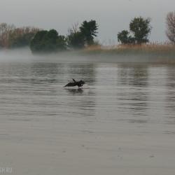 Фото Отель Тортуга
