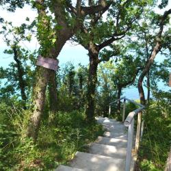 Фото Отель Лодж Алтай