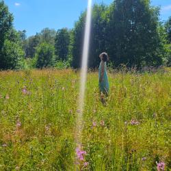 Коттедж стандарт На Лугу