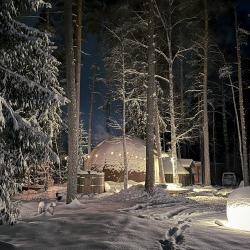 Коттедж премиум