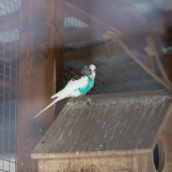 Фото Отель Лунежские горы