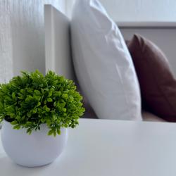 Фото Отель Грин Грейп SyncotelHome