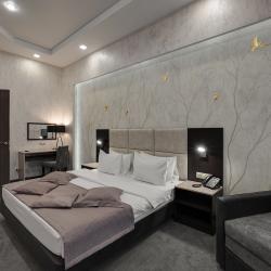 2-комнатный номер люкс