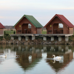 Фото Отель Celinburg (Целинбург)
