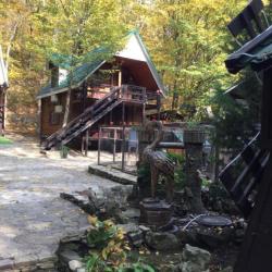 Фото Отель Холодный ручей