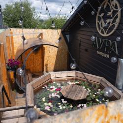 Фото Отель Аура тополей