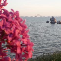 Фото Отель М33