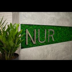 Фото Отель Nur (Нур)