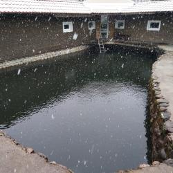 Фото Отель Средиземье