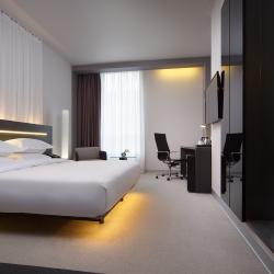 Фото Отель Elements Ekaterinburg Hotel (Элементс ) (бывш. Four Elements Ekaterinburg)