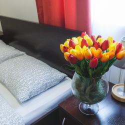 Фото Отель Asti Rooms (Асти Румс)