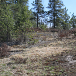 Фото Отель Домики Сканди