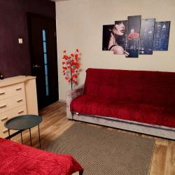 Фото Апартаменты на проспекте Циолковского 80А