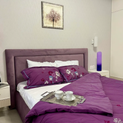 Фото Апартаменты на улице Мечникова