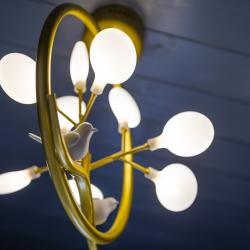 Фото Отель Гарри и философский чан