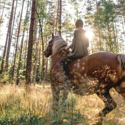 Фото Отель Shagal Chalet (Шагал Шале)