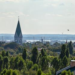 фото 20 Соль Земли