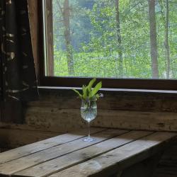 Коттедж стандарт с 1 двуспальной кроватью