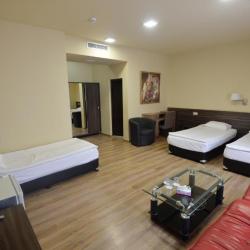 Фото Отель Yerevan Deluxe ( Делюкс)