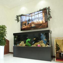 Фото Отель BMB ZA'FARON HOTEL (БМБ ЗАФАРОН)