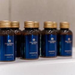 4-местный 6-комнатный номер люкс президентский
