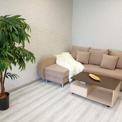 Апартаменты улучшенные Иваново, ул.Наумова, 5