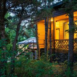 Фото Отель Лодж Алтай