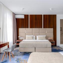 1-комнатные апартаменты люкс для 5 гостей в V hotel