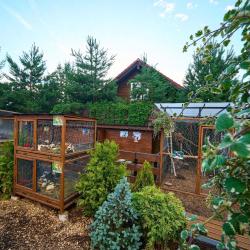Фото Отель Fish Point Family Resort (Фиш Поинт)